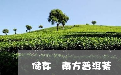 储存 南方普洱茶/2023041083816